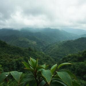 Monsoon clouds over Western Ghats