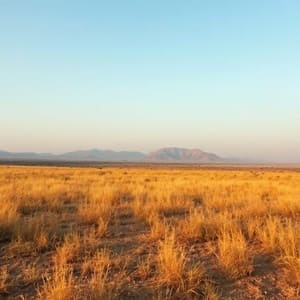 Clear trails in Deccan after monsoon