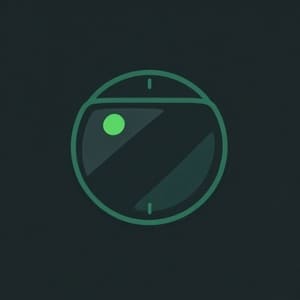 Signal mirror