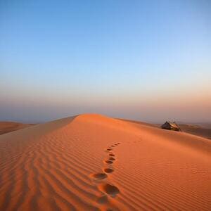 Thar desert trail